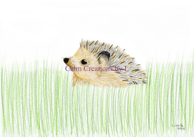 Hedgehog