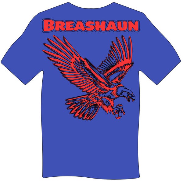Independence Eagle T Shirt