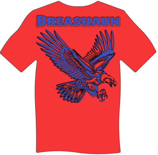 Independence Eagle T Shirt
