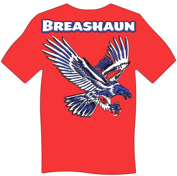 Independence Eagle T Shirt