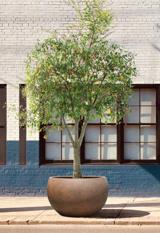 Grote terraspot Grand Bowl roestkleur