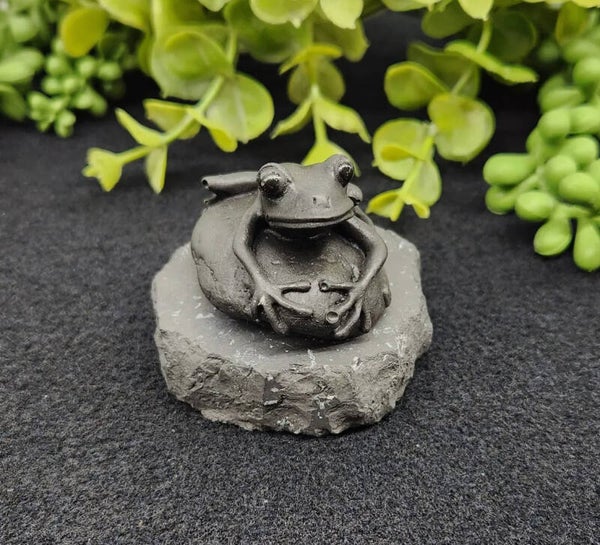 Shungite Beeldje – Kikker op Steen