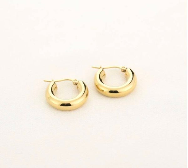 Earrings Tiny hoops gold