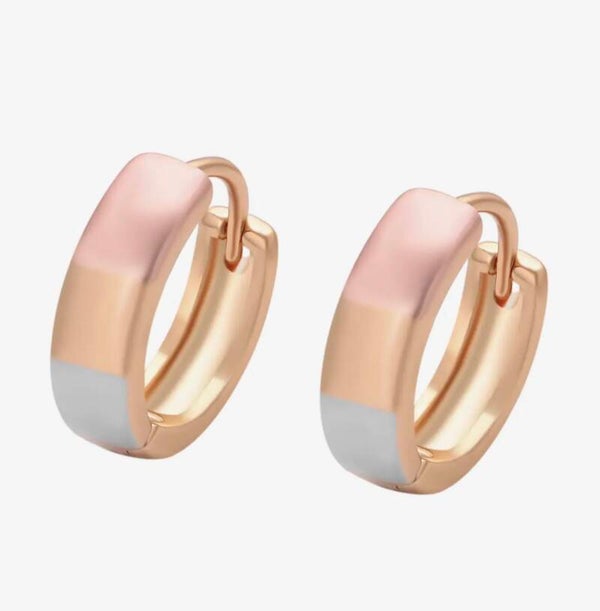 Earrings Blush Hoops