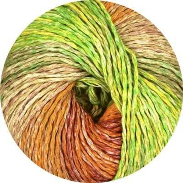 Linie 457 Cavacalla nr 102