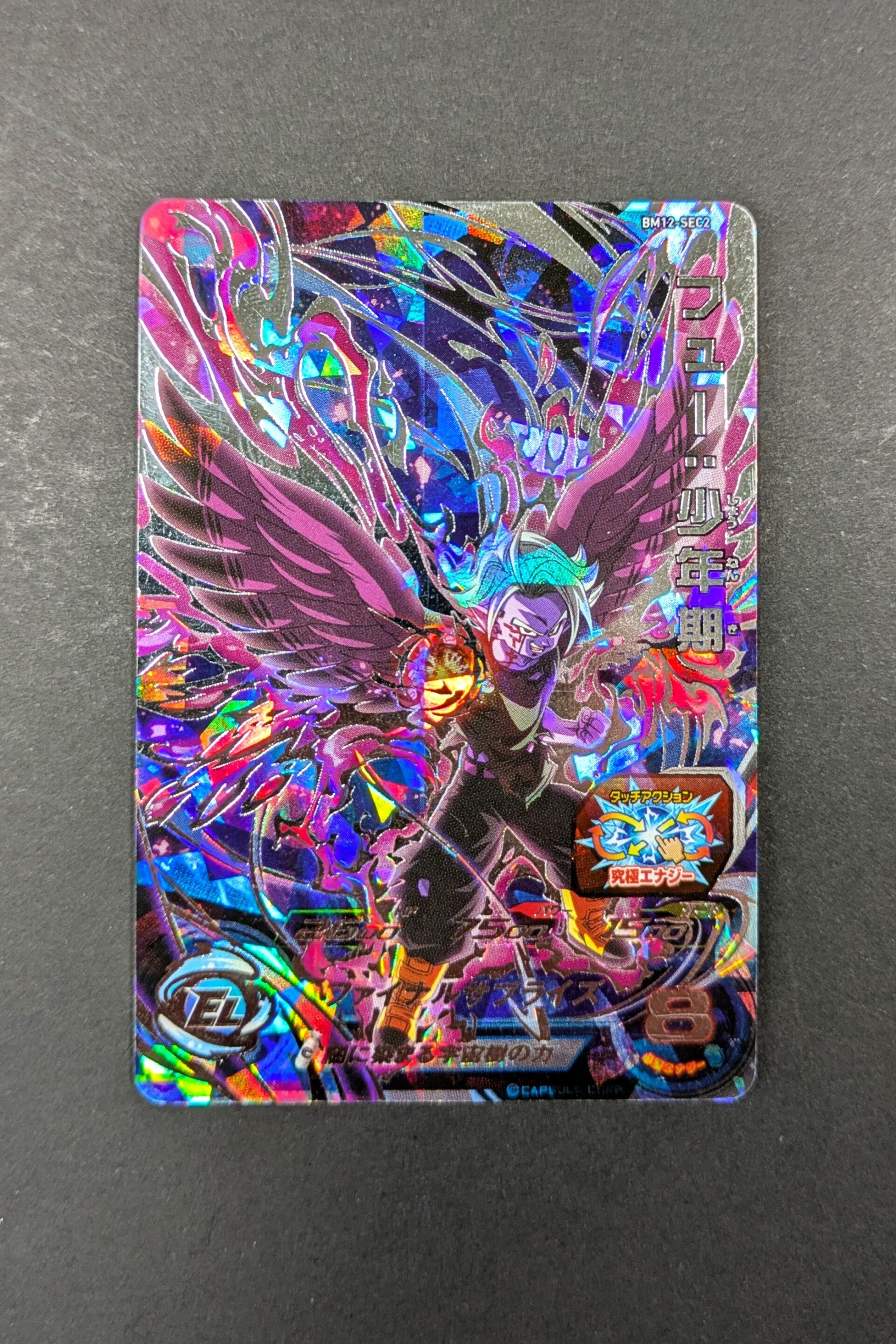 Carte SDBH BM12-SEC 2 - Fu Childhood