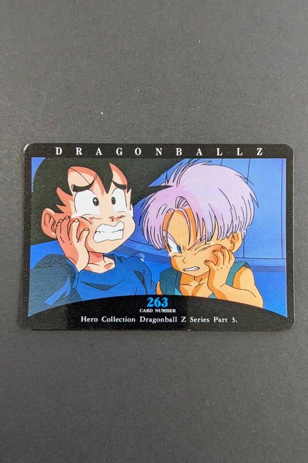 Hero Collection Part 3 - 263 - Son Goku & Trunks