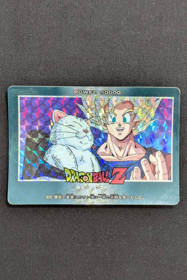 PP Card Prism Part 21 - 928 - Hard - TBE - Karin & Son Goku
