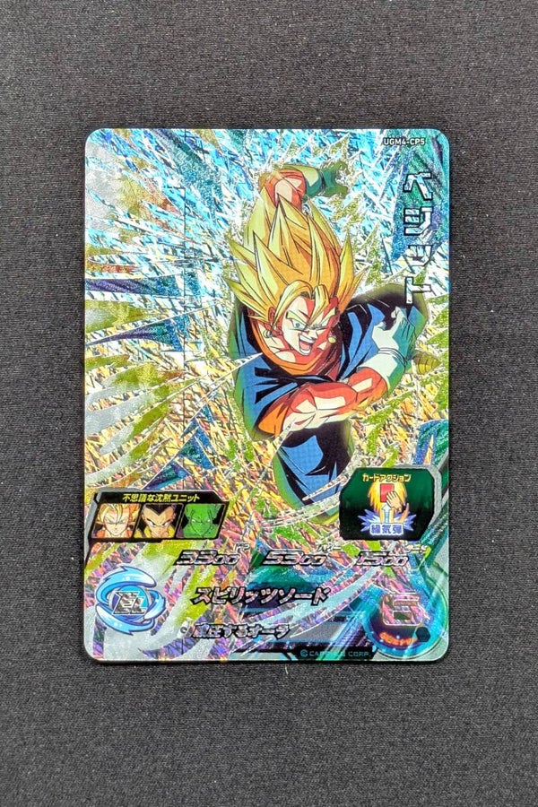 Carte SDBH UGM4-CP5 - Vegetto