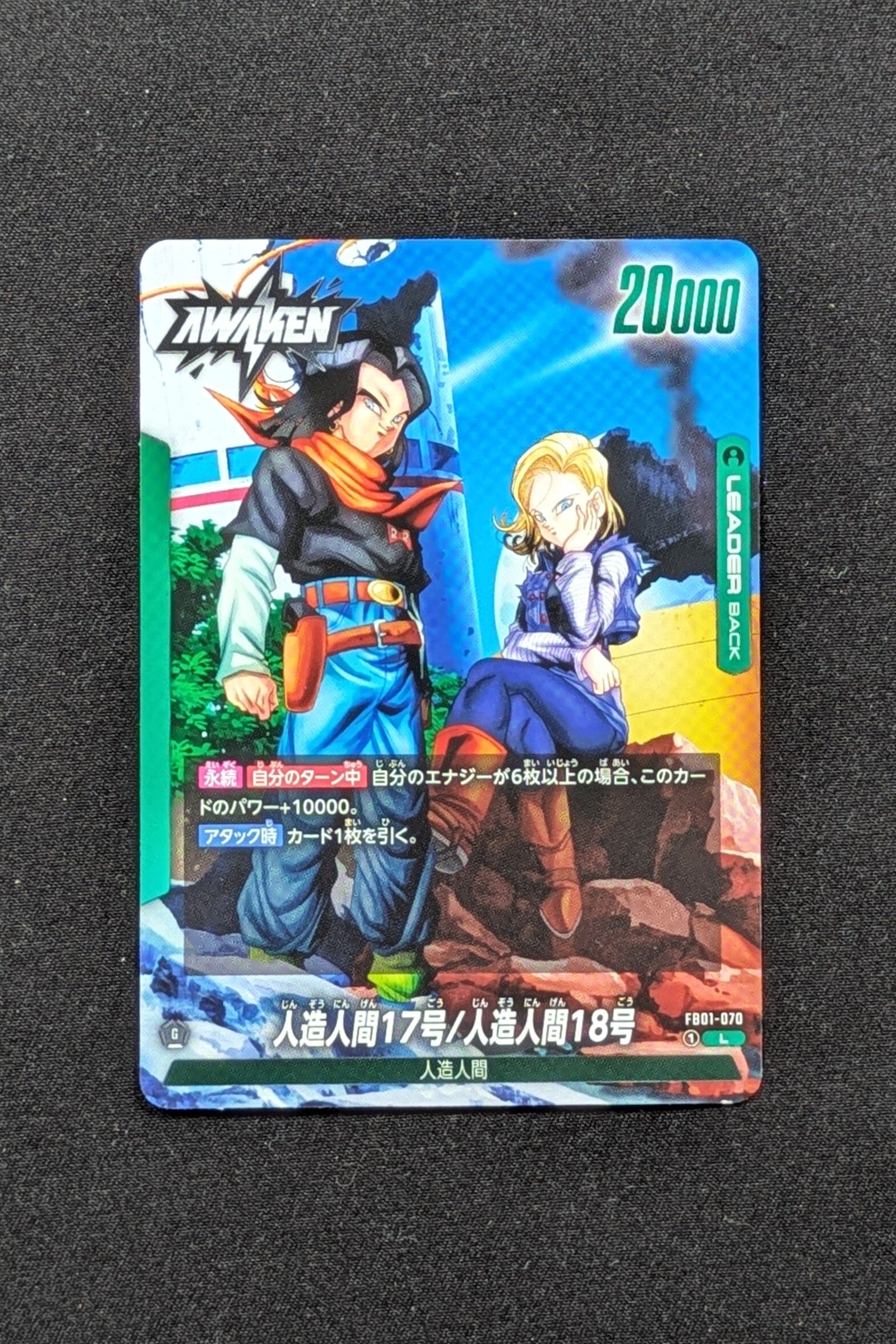 FB01-070 Leader - Fusion World - C-17 & C-18