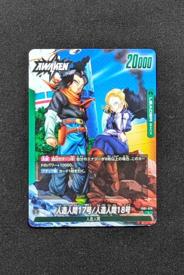 FB01-070 Leader - Fusion World - C-17 & C-18