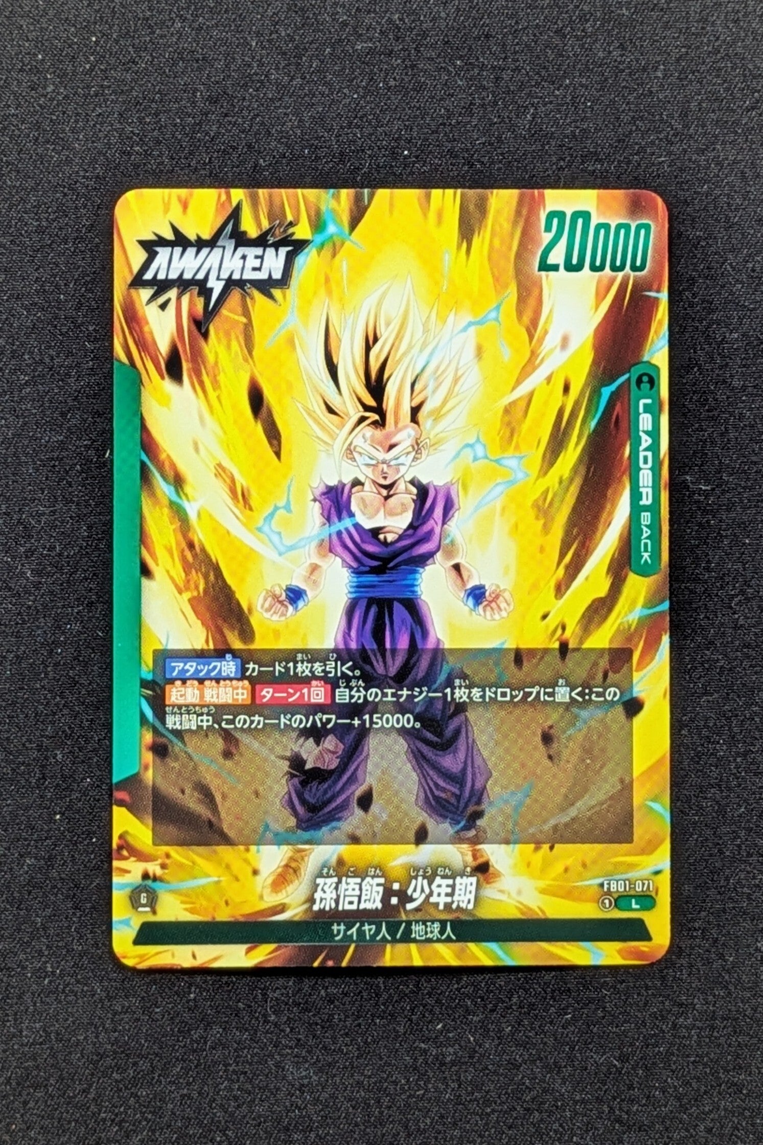 FB01-071 Leader - Fusion World - Son Gohan