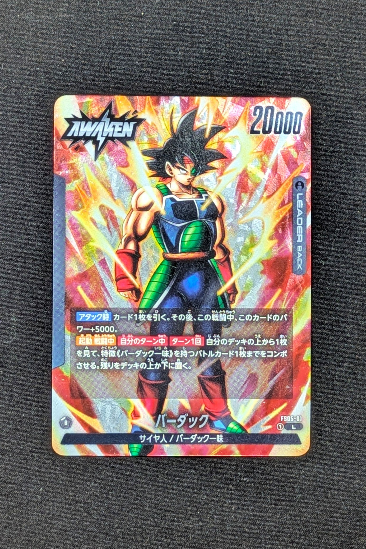 FS05-01 Leader - Fusion World - Baddack