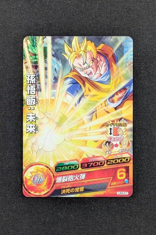 Carte DBH UM-01