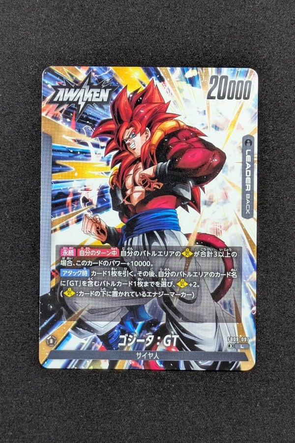 FB09-097 Leader - Fusion World