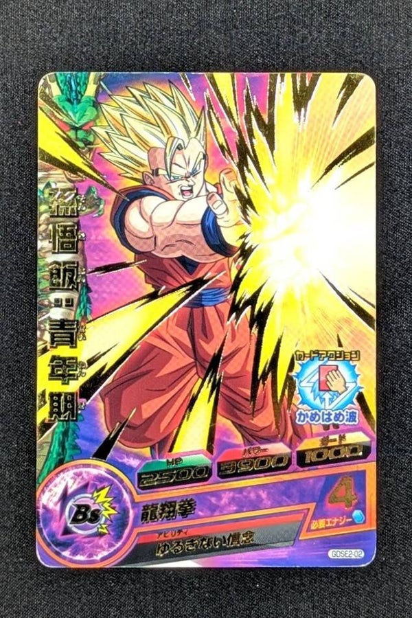 Carte SDBH GDSE2-02