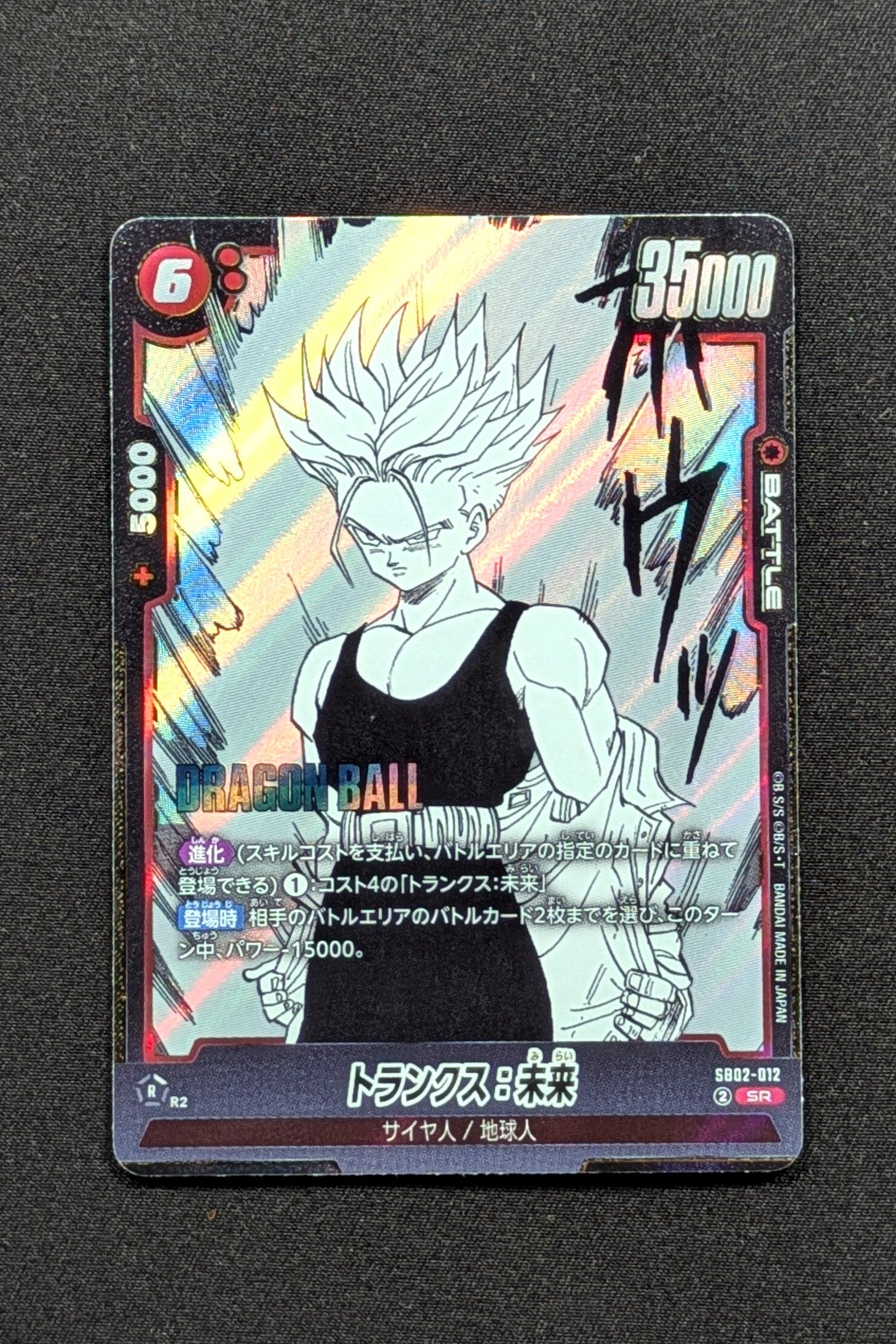 SB02-012 - SR - Trunks