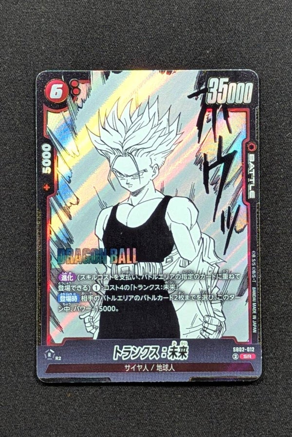 SB02-012 - SR - Trunks