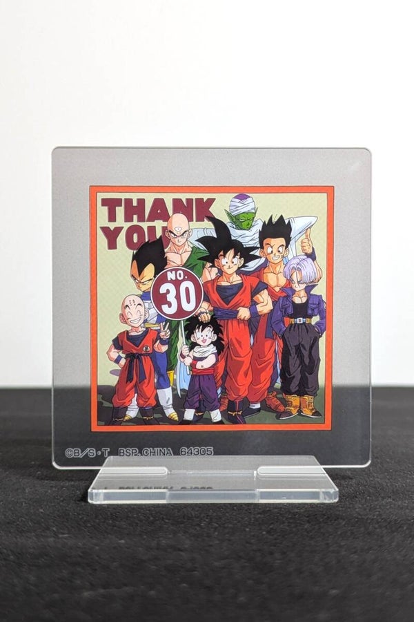 Stand acrylique - Goku Family