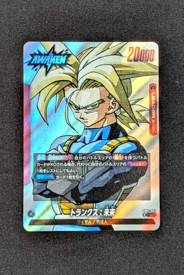 SB02-001 Leader - SB02 - Trunks