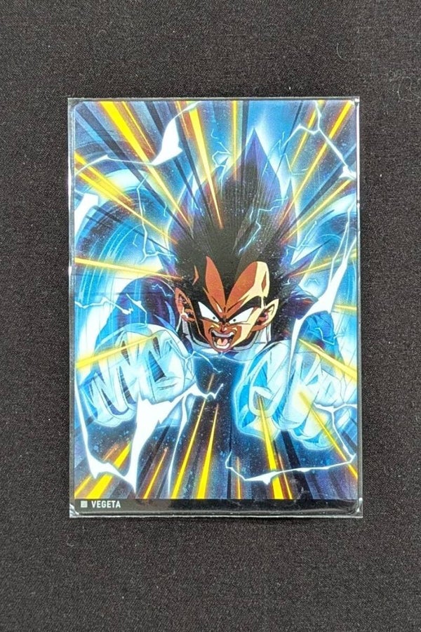 Itajaga Dragon Ball | 2-17 N Vegeta