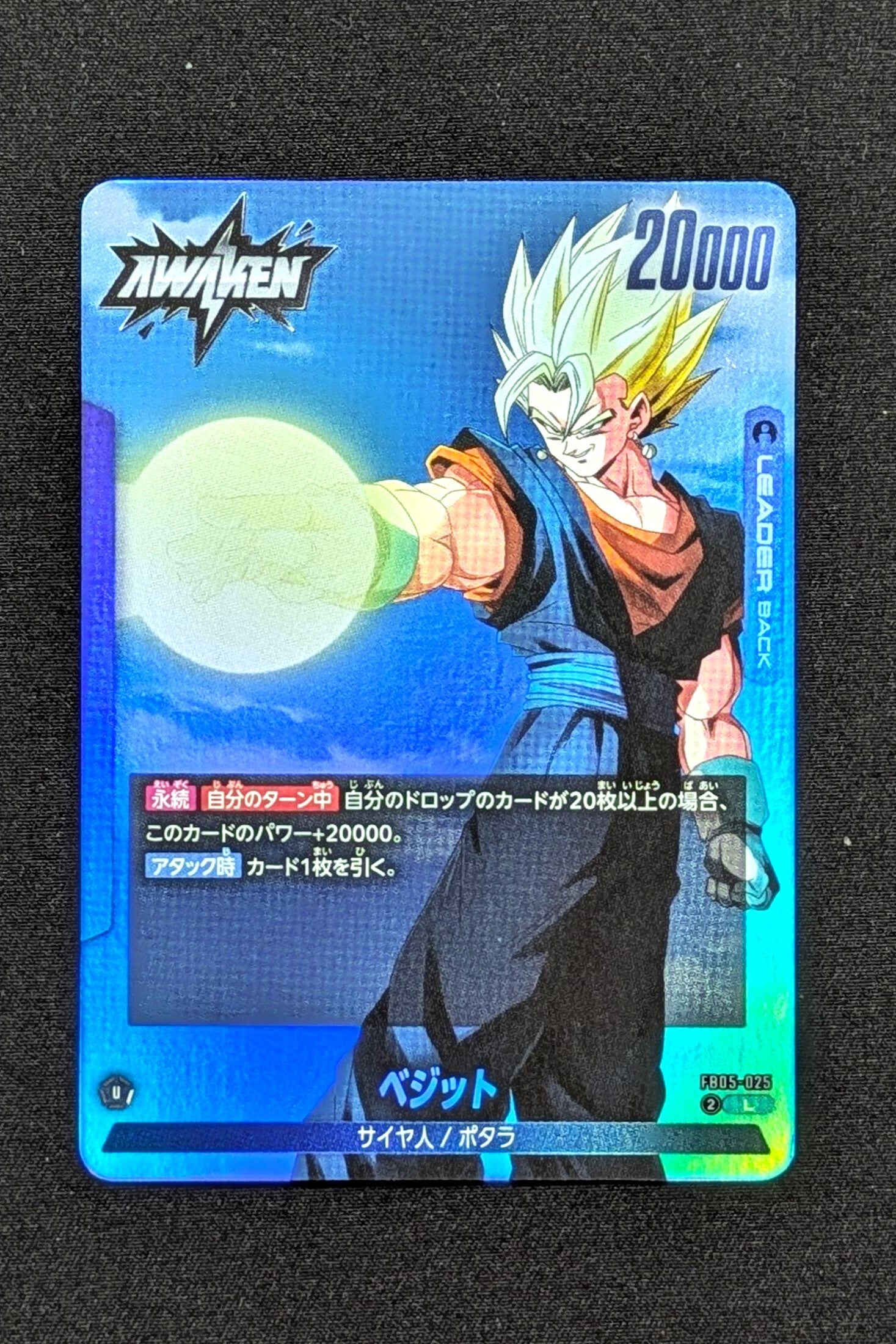 FB05-025 Leader - ST01 - Vegitto
