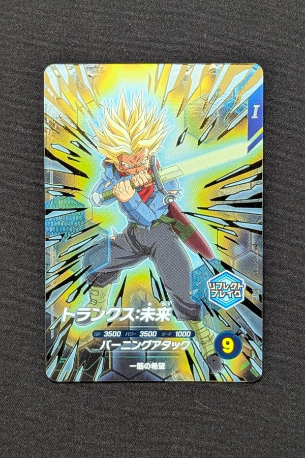 Super Divers SDV11-PUR3 - Trunks