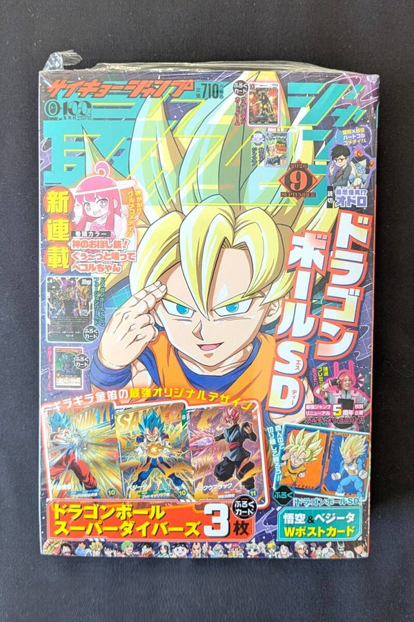 VJUMP - Septembre 2026 - complet