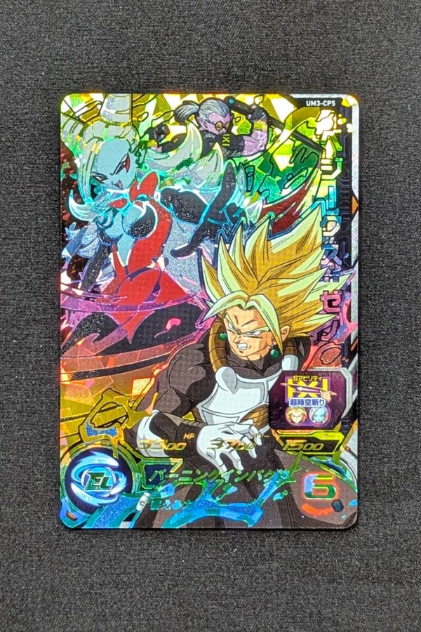 Carte SDBH UM3-CP5 - Vegeks