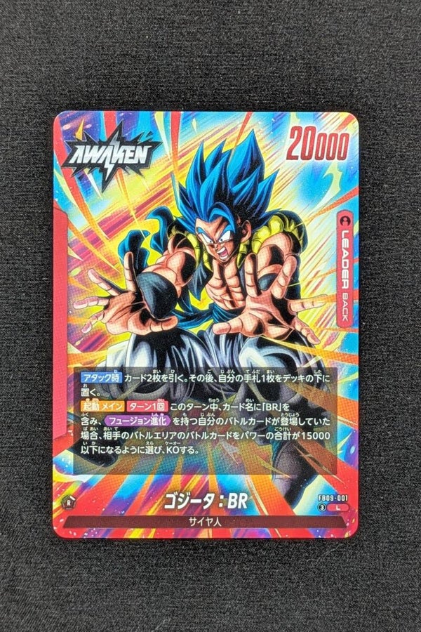 FB09-001 Leader - Fusion World - Gogeta