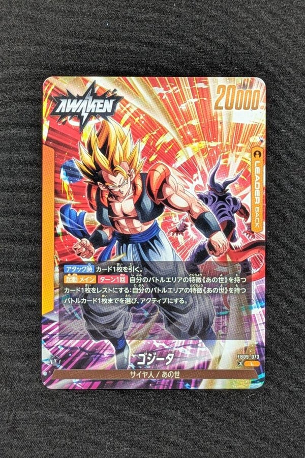 FB09-073 Leader - Fusion World - Gogeta