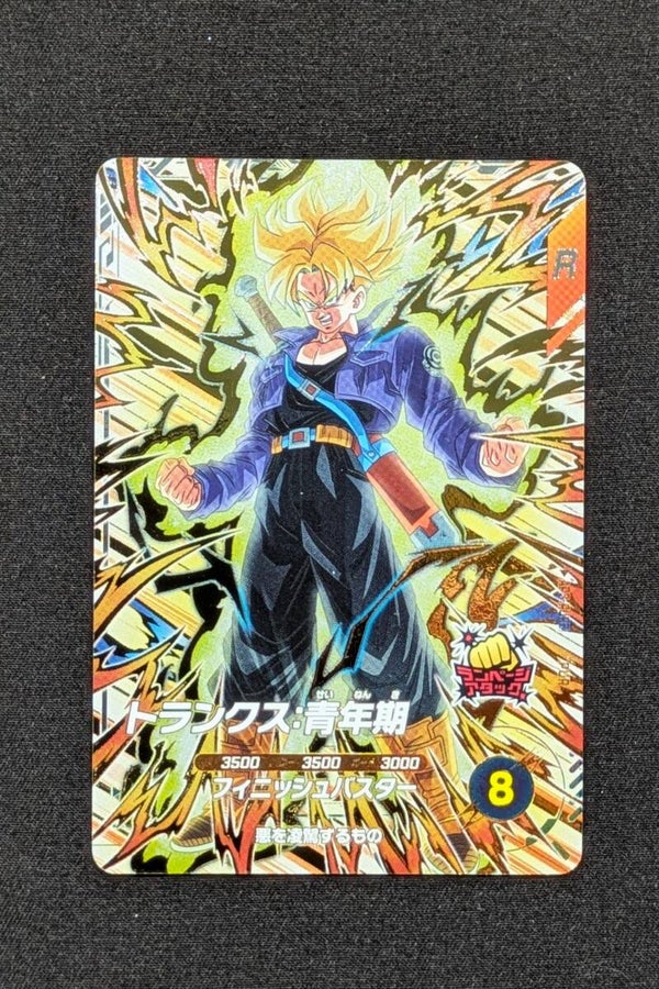 Advance Pack AP3-PUR5 - Trunks