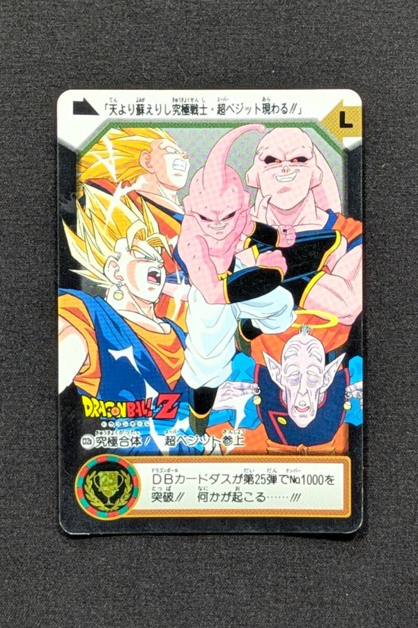 Carddass Hondan Jap. Part 24 - C12A