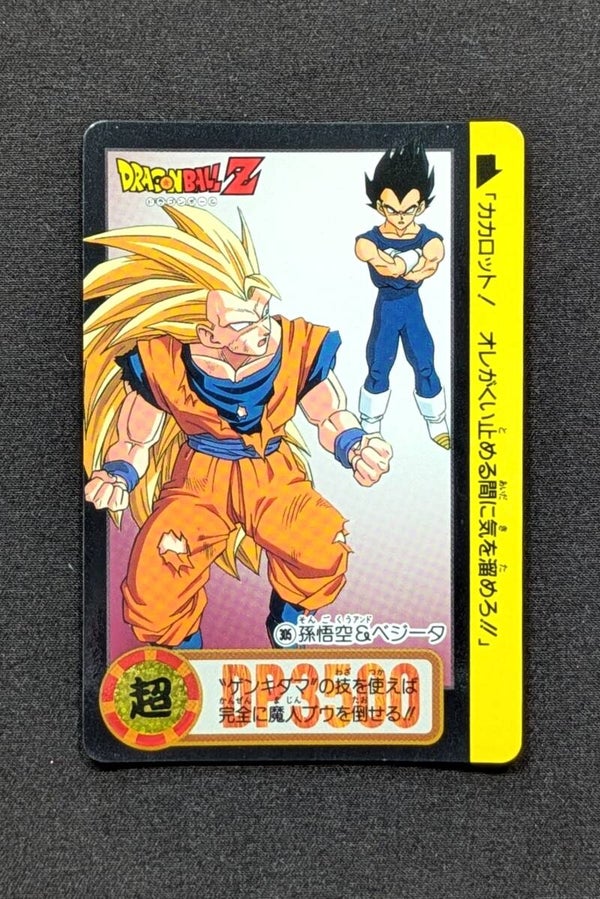 Carddass Hondan Jap. Part 24 - 305 - Son Goku & Vegeta