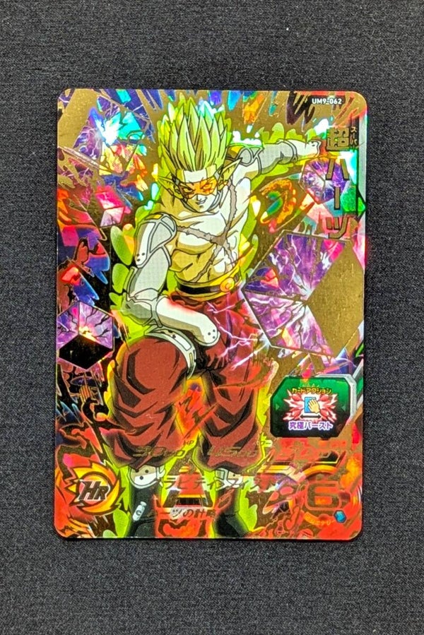 Carte SDBH UM9-062 UR