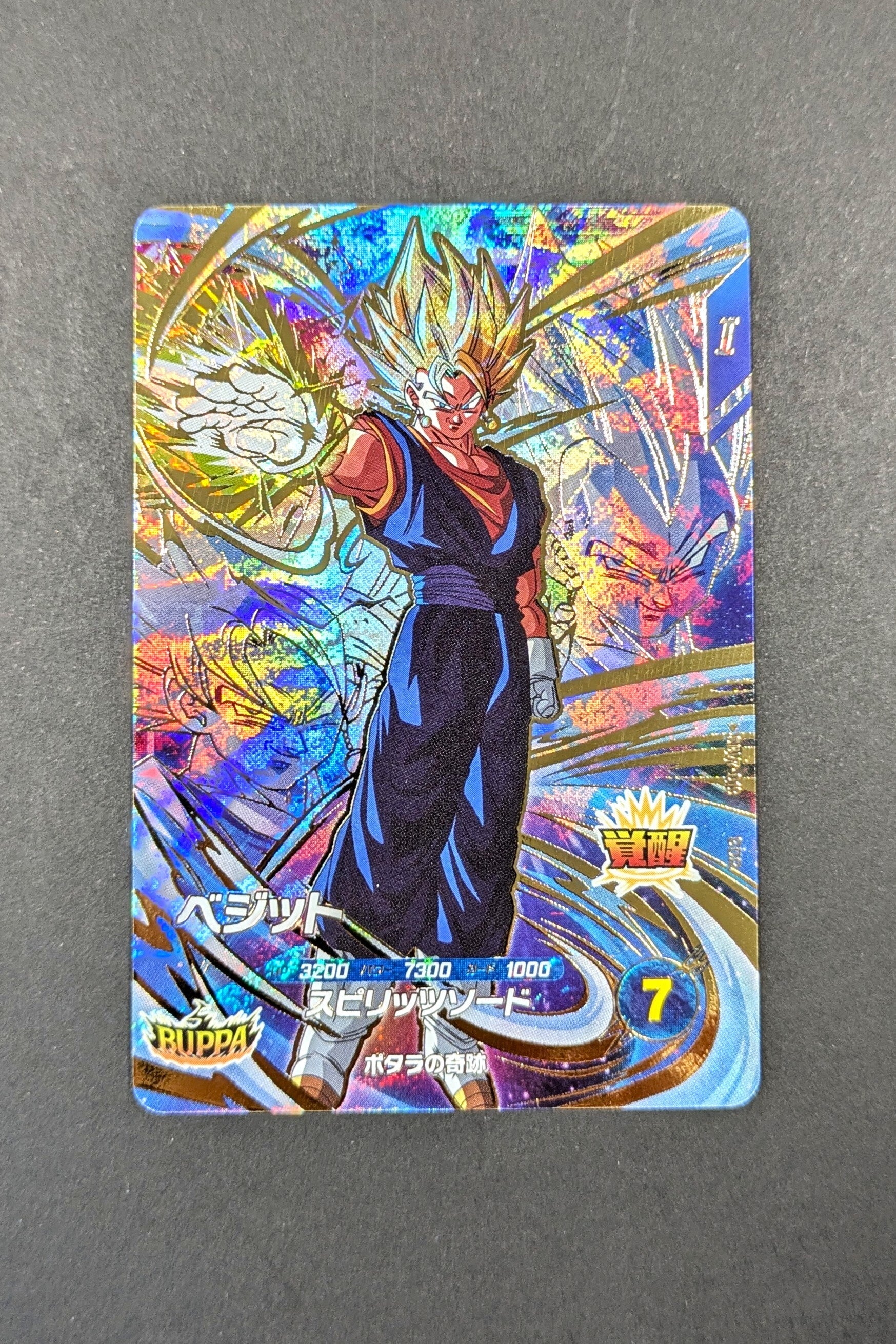 Super Divers GDR SDV7-019 - Vegetto