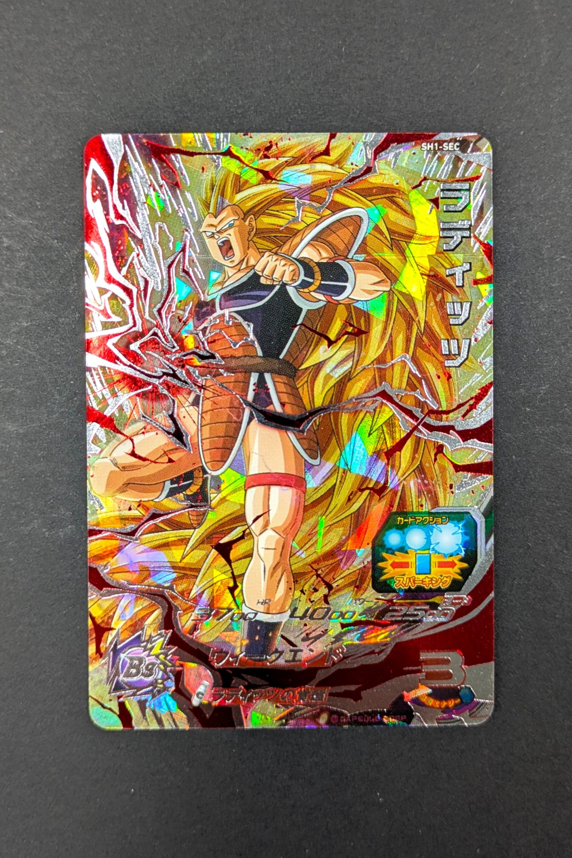 Carte SDBH SH1-SEC RADITZ