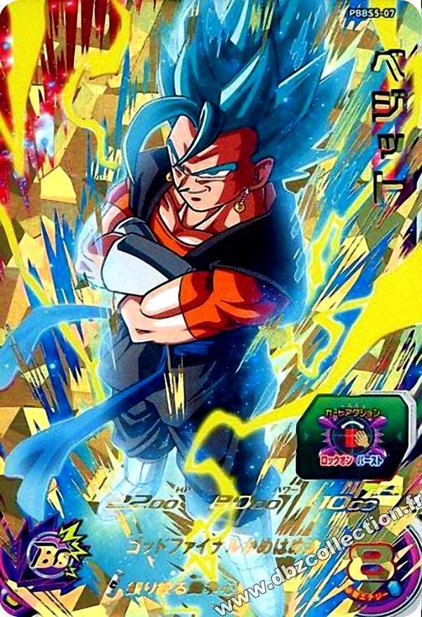 Carte SDBH PBBS5-07 - Vegetto