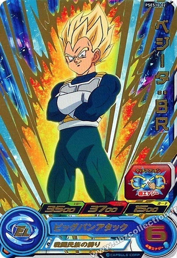 Carte SDBH PSES10-02 - Vegeta