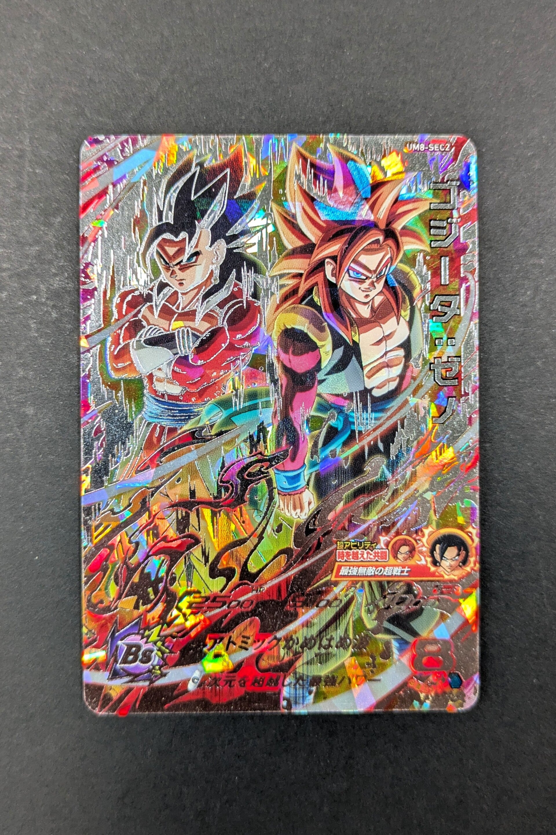 Carte SDBH UM8-SEC 2 GOGETA