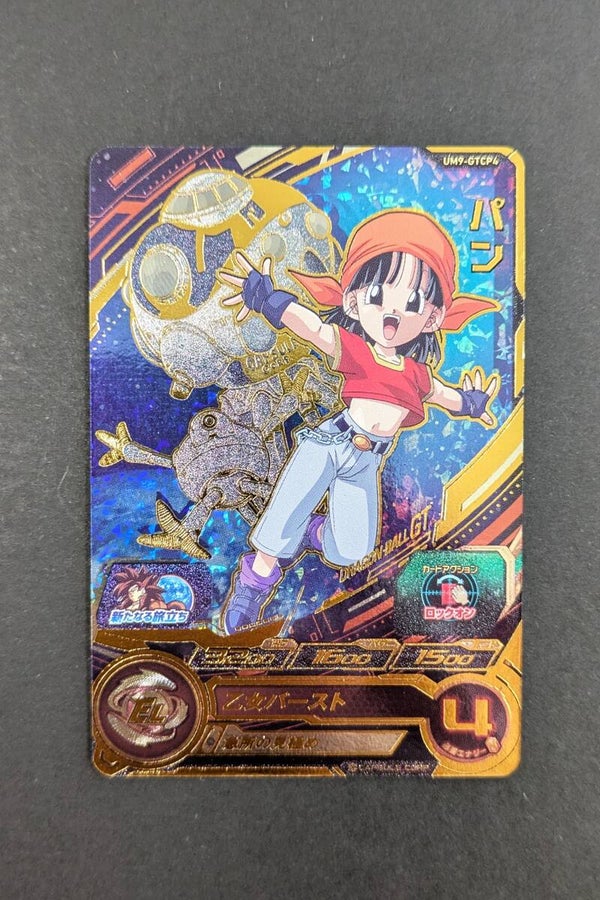 Carte SDBH UM9-GTCP4 - Pan