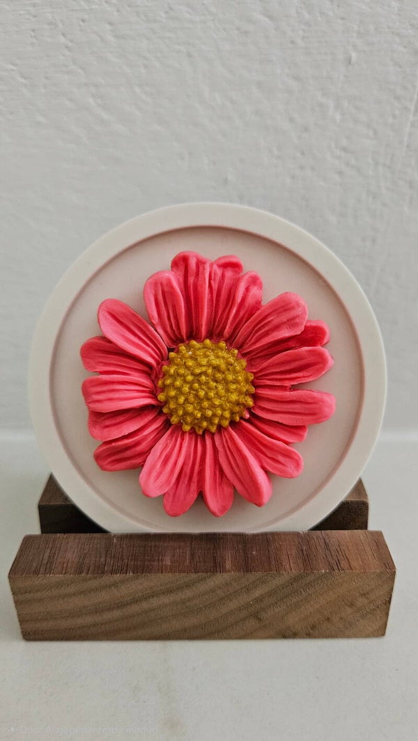 Pink Daisy