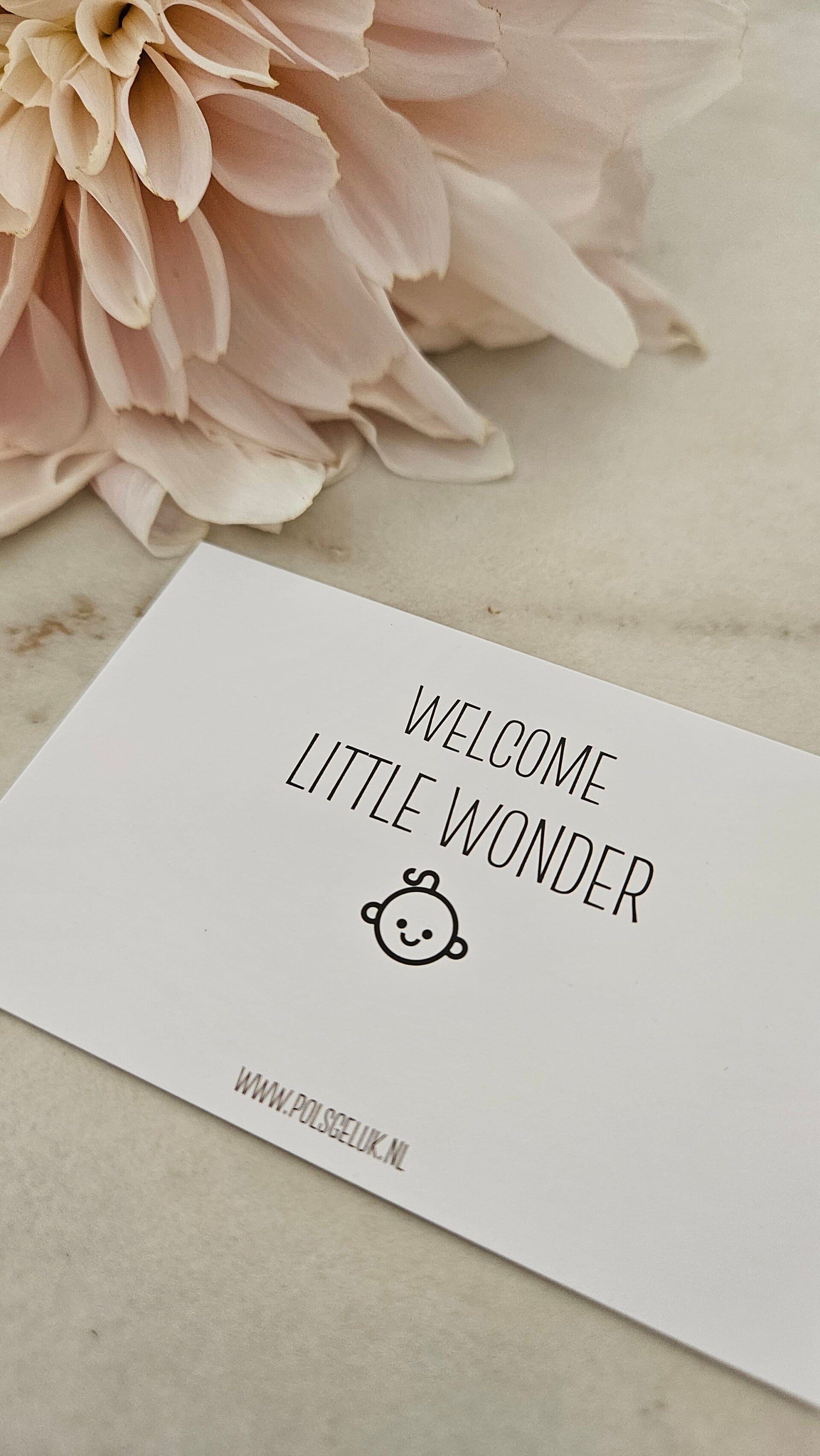 Welcome little wonder