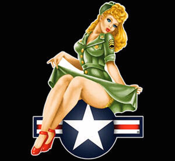 Pin up US star   (82)