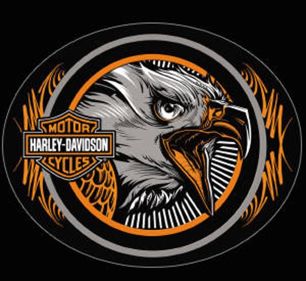 Harley eagle  (89)