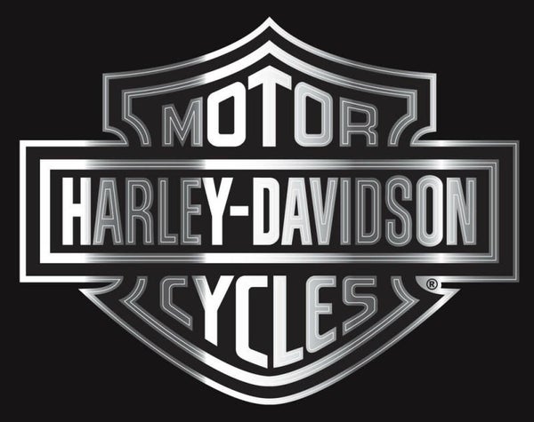 Harley Davidson zilver     (12)