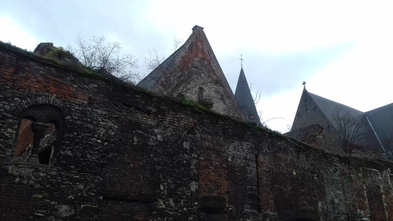 20190316_131030-standard.jpg