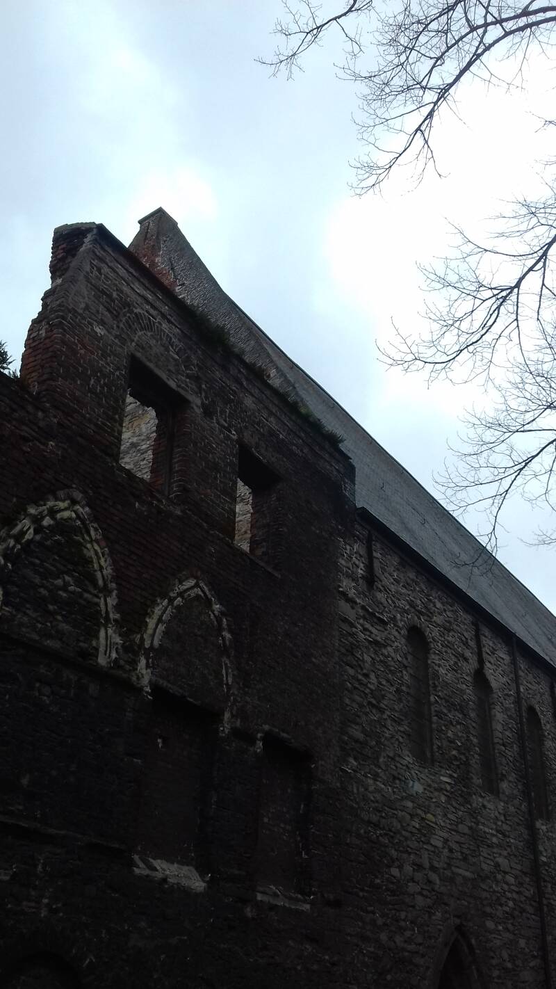 20190316_131100-standard.jpg