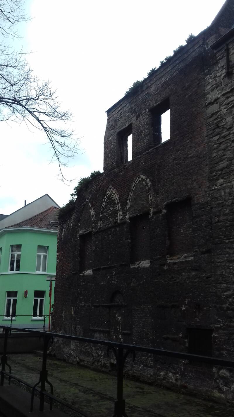 20190316_131124-standard.jpg