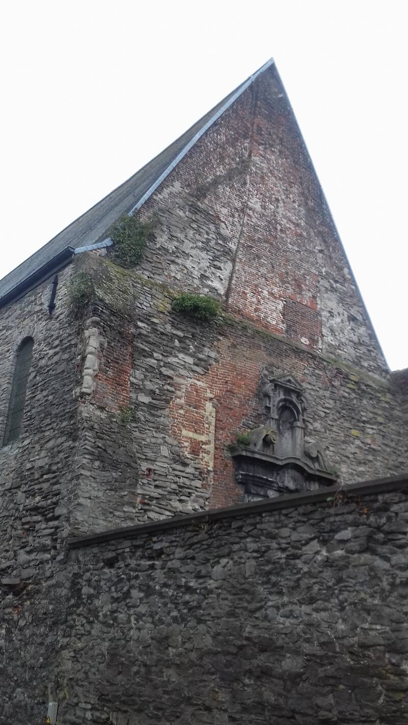 20190316_131210-standard.jpg